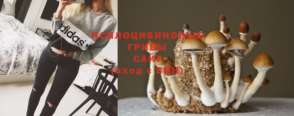 твердый Богданович