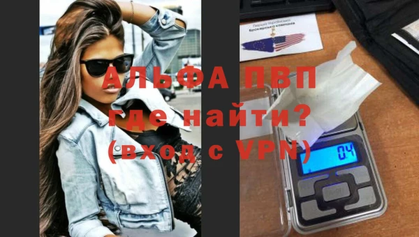 твердый Богданович