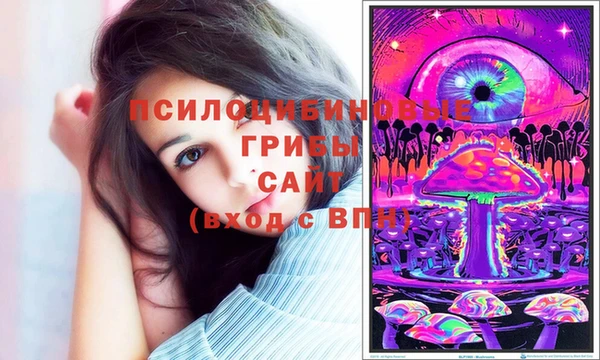 твердый Богданович